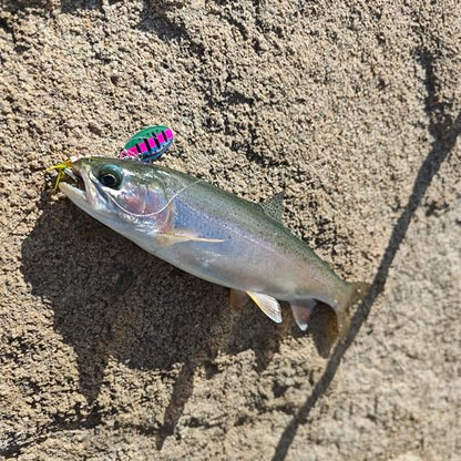 Fishing Lures for Saltwater/Freshwater, Metal Trout Lures for Bass Walleye Pike, 5g Fishing Spoon with Single Hook - color: SB02
