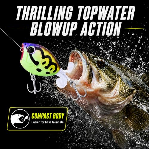 Top Water Lures, Floating Plopper Bait with BKK Hooks – Bass Fishing Lures for Trout, Pike & Other Freshwater & Saltwater Species – Great Fishing Gifts for Men - color: B2-3PCS,2.28in,0.39oz