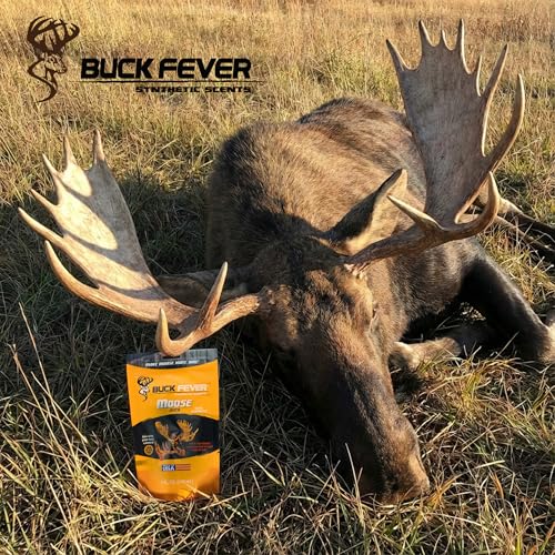 Buck Fever Moose Juice, Syntheticly Formulated Moose Attractant - Non-Spoiling Synthetic Bull Scent for Outdoor Trail Camera - Early Season Mature Buck Hunting Scents - size: 8 Fl Oz (Pack of 1)