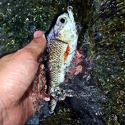 Fishing Lure Swimbait Crankbait Trout Bass Catfish Muskie Bait Fishing Accessories Fishhook Hunting - color: Jerkbait-6''-3PCS-Set A