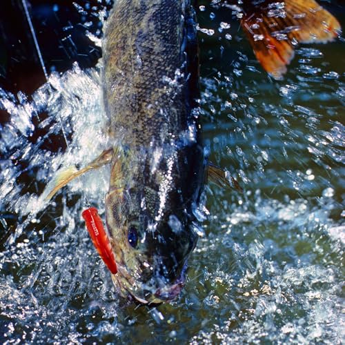 Pristis 3 pcs Topwater Fishing Plopper Lures, Floating Popper Bait Set with Chemically Sharpened Hooks for Saltwater Freshwater, Top Water Plopping Swimbait Teaser for Bass Tuna Perch Pike Crappie - color: Artistic Topwater Poppers