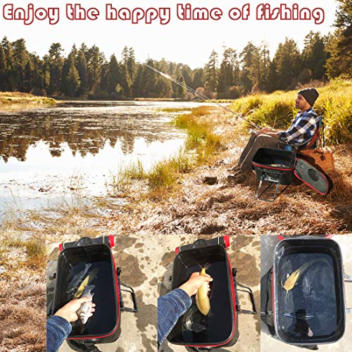 Fishing Bucket,Foldable Fish Bucket, Multi-Functional EVA Fishing Bag for Outdoor, Live Fish Lures Bucket and Fish Protection Bucket,10GAL/8GAL/6GAL/4.8GAL/3GAL Live Fish Container (10GAL/Black) - color: 10gal/Black