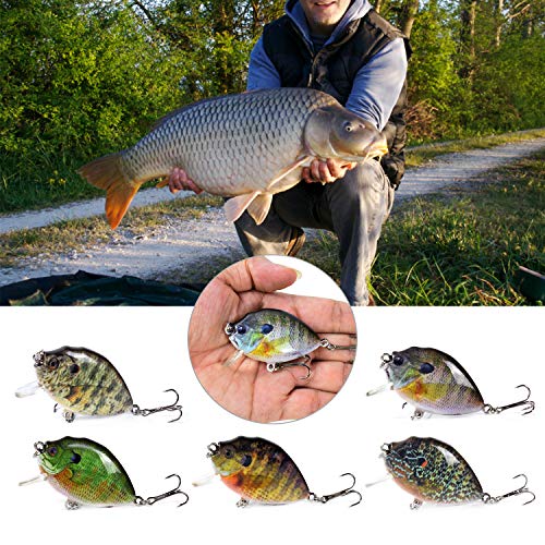 Fishing Lure, 5PCS Fishing Lures 6cm 15g Mini Wobbler Fishing Lure Artificial Hard Bait Crankbait with Tackle Box for Fish Bass Fishing Tackle