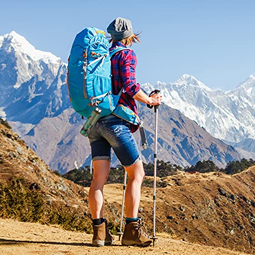 sprookber 3" Aluminum Carabiner D Ring, Caribeener Clips, Spring Snap Hook for Keychain Clip, Set of 10 - color: Blue,Red