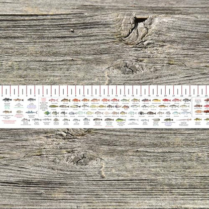 STATE COASTAL FISH RULER with FISH ID and FISHING REGULATIONS - 50 INCH RULER DECALS - style: Maryland
