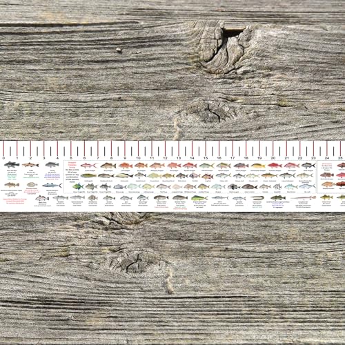 STATE COASTAL FISH RULER with FISH ID and FISHING REGULATIONS - 50 INCH RULER DECALS - style: Maryland