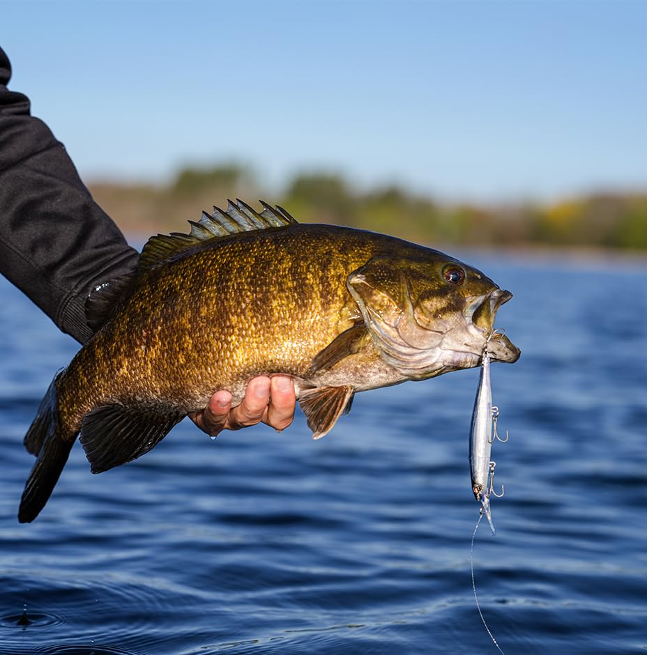 RapalaFishing Lure - color: Matte Shad
