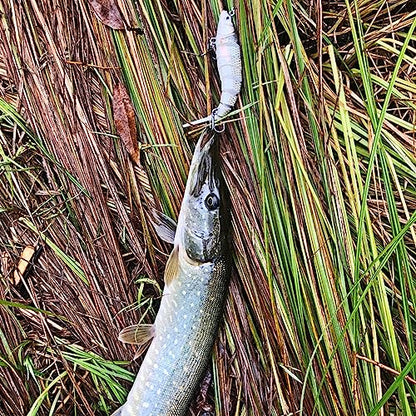 Fishing Lure Swimbait Crankbait Trout Bass Catfish Muskie Bait Fishing Accessories Fishhook Hunting - color: Herring-5.5''-3PCS-Set A