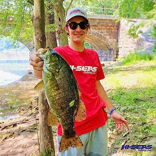 Hi-Seas 100% Fluorocarbon Fishing Line Clear - Strong & Tough Fishing Leader Line, Sinks Faster Than Monofilament Fishing Line. Available in 6lb, 8lb, 10lb, 12lb, 15lb, 20lb, 25lb Test - style: 20 Pound Test, 200 Yard