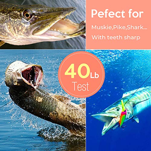 Fishing Leaders, Fish Line Stainless Steel Wire with Swivels Snap Connect Fishing Gear and Equipment Tackle Kit, for Lures Bait Rig Or Hooks, Fishing Gift - color: 50LB 60PCS Black