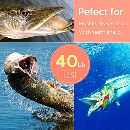 Fishing Leaders, Fish Line Stainless Steel Wire with Swivels Snap Connect Fishing Gear and Equipment Tackle Kit, for Lures Bait Rig Or Hooks, Fishing Gift - color: 50LB 60PCS Black