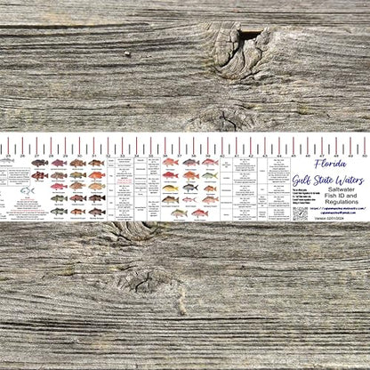 STATE COASTAL FISH RULER with FISH ID and FISHING REGULATIONS - 50 INCH RULER DECALS - style: Florida Gulf Coast