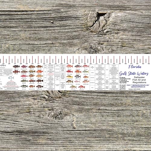 STATE COASTAL FISH RULER with FISH ID and FISHING REGULATIONS - 50 INCH RULER DECALS - style: Florida Gulf Coast