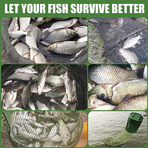 Portable Foldable Fish Basket, Collapsible Nylon Cage Basket, Fish Alive Keeping Net with Anchor Bolt for Minnows,Lobster,Crawfish, Shrimp etc-Green (54X12 in)