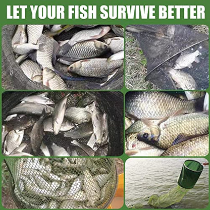 Portable Foldable Fish Basket, Collapsible Nylon Cage Basket, Fish Alive Keeping Net with Anchor Bolt for Minnows,Lobster,Crawfish, Shrimp etc-Green (54X12 in)