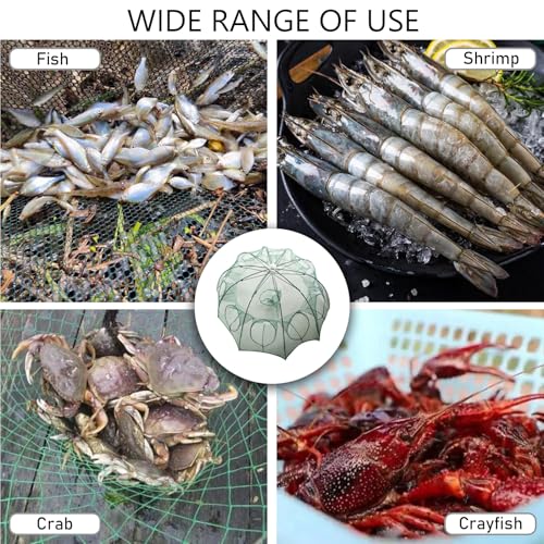 Collapsible Crawfish Trap 2Pcs, Foldable Lobster Crab Trap with Rope, 36.5" Portable Fishing Bait Trap Crawfish Trap Minnow Trap, 6/10 Holes Large Space Umbrella Fishing Net