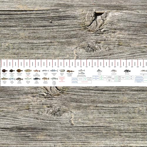 STATE COASTAL FISH RULER with FISH ID and FISHING REGULATIONS - 50 INCH RULER DECALS - style: New York