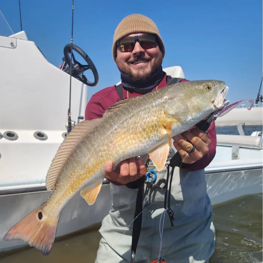 A.M. Fishing Curly Tail Jerkshad 4 Inch Soft Baits Garlic Infused,– 8 Pack – Saltwater & Freshwater Fishing Lures for Bass, Redfish, Snook, and Trout - color: Dragon Fruit