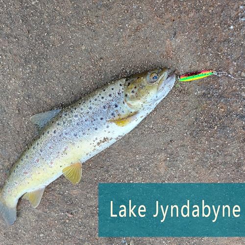 Fishing Lures for Saltwater/Freshwater, Metal Trout Lures for Bass Walleye Pike, 5g Fishing Spoon with Single Hook - color: TS（M）