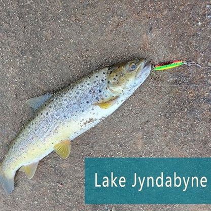 Fishing Lures for Saltwater/Freshwater, Metal Trout Lures for Bass Walleye Pike, 5g Fishing Spoon with Single Hook - color: TS（M）