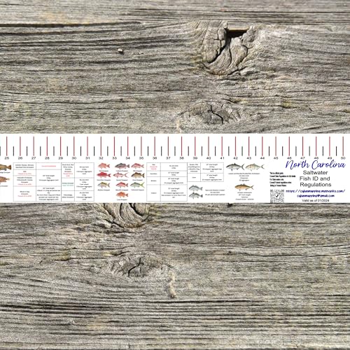 STATE COASTAL FISH RULER with FISH ID and FISHING REGULATIONS - 50 INCH RULER DECALS - style: North Carolina