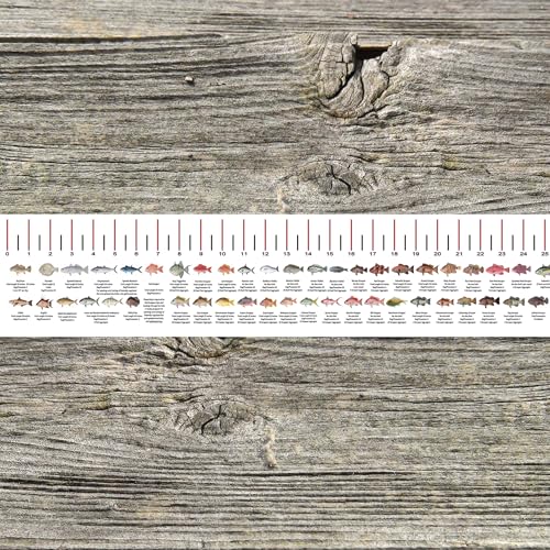 STATE COASTAL FISH RULER with FISH ID and FISHING REGULATIONS - 50 INCH RULER DECALS - style: MIssissippi