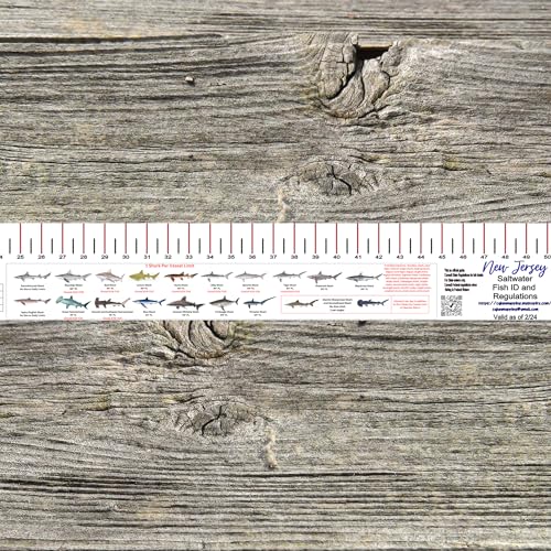 STATE COASTAL FISH RULER with FISH ID and FISHING REGULATIONS - 50 INCH RULER DECALS - style: New Jersey