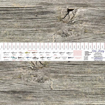 STATE COASTAL FISH RULER with FISH ID and FISHING REGULATIONS - 50 INCH RULER DECALS - style: New Jersey