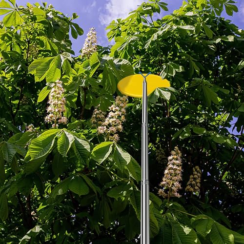 Disc Golf Retriever Pole Telescopic Disc Golf Tool with 3 Hooks Golf Discs Retriever for Water Outdoor Disc Sports Starters 16FT - size: 16FT aluminum