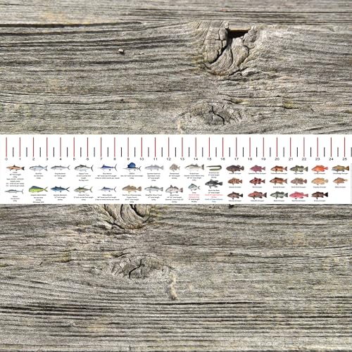 STATE COASTAL FISH RULER with FISH ID and FISHING REGULATIONS - 50 INCH RULER DECALS - style: North Carolina