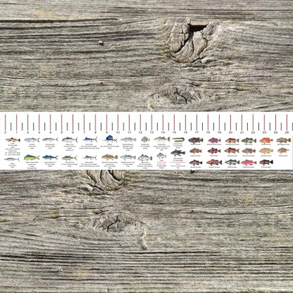 STATE COASTAL FISH RULER with FISH ID and FISHING REGULATIONS - 50 INCH RULER DECALS - style: North Carolina