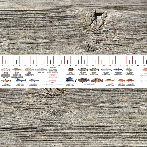 STATE COASTAL FISH RULER with FISH ID and FISHING REGULATIONS - 50 INCH RULER DECALS - style: Texas