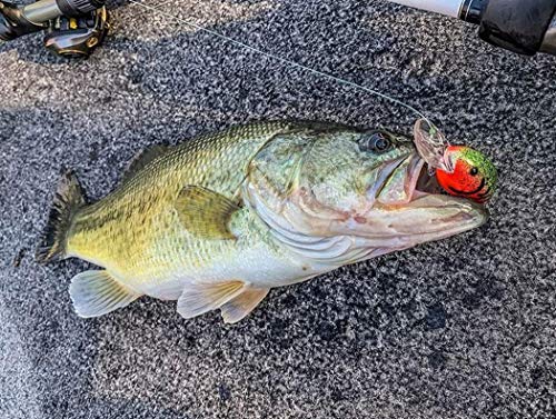 Bandit Lures BDT - color: Natural Shad