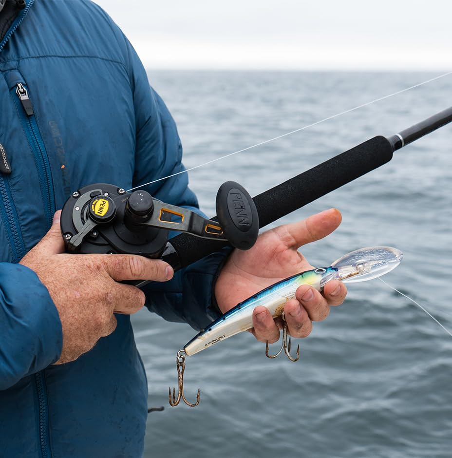 Rapala X-Rap Jerkbait 08 Fishing Lures - color: HD Flying Fish