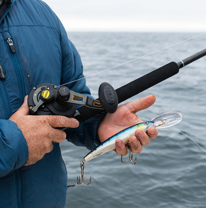 Rapala X-Rap Jerkbait 08 Fishing Lures - color: HD Flying Fish