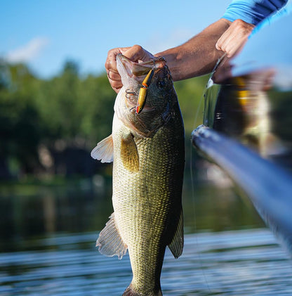 Rapala Rapala Jointed 07 Fishing Lure 2 75 Inch - color: Silver Fluorescent Chartreuse