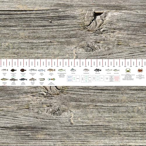STATE COASTAL FISH RULER with FISH ID and FISHING REGULATIONS - 50 INCH RULER DECALS - style: Connecticut
