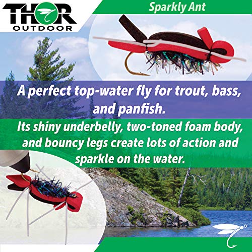 Topwater Fly Fishing Kit for Bass & Panfish | 14 pc Set + Tapered Leader - Foam Poppers, Hoppers, Dry Flies, Spiders, Ants, & Attractors (Hook Size 10 to 12)