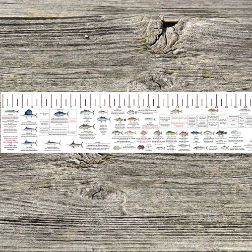 STATE COASTAL FISH RULER with FISH ID and FISHING REGULATIONS - 50 INCH RULER DECALS - style: Florida Gulf Coast