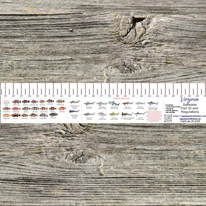 STATE COASTAL FISH RULER with FISH ID and FISHING REGULATIONS - 50 INCH RULER DECALS - style: Virginia