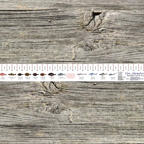 STATE COASTAL FISH RULER with FISH ID and FISHING REGULATIONS - 50 INCH RULER DECALS - style: New Hampshire