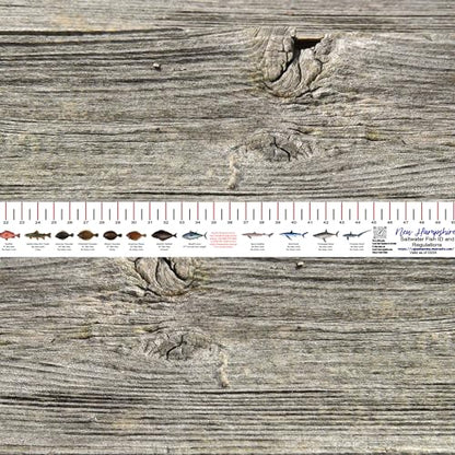STATE COASTAL FISH RULER with FISH ID and FISHING REGULATIONS - 50 INCH RULER DECALS - style: New Hampshire