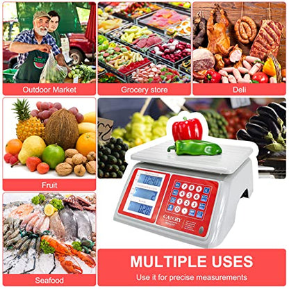 CAMRY Waterproof Commercial Food Scale, 66lb/30kg, Price Computing | IPX7 Stainless Steel Platform; Rechargeable Battery; Dual LCD Display; KG/LB Conversion; For Seafood and Farmers Market