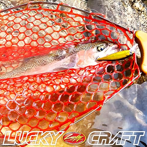LUCKY CRAFT Pointer 65S ~Sinking~ Trout Lure, Fishing Bait, Jerkbait - color: 873 Winter Stream Perch