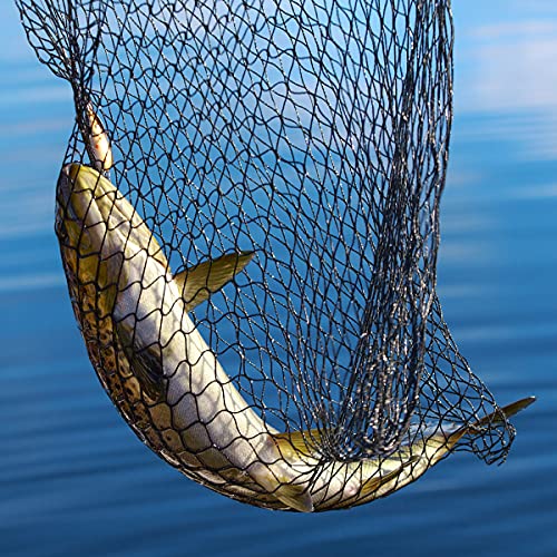 Wakeman Fishing Net with Telescoping Handle- Collapsible and Adjustable Landing Net with Corrosion Resistant Handle and Carry Bag Outdoors (80”), Silver, 47.5" x 64.5"