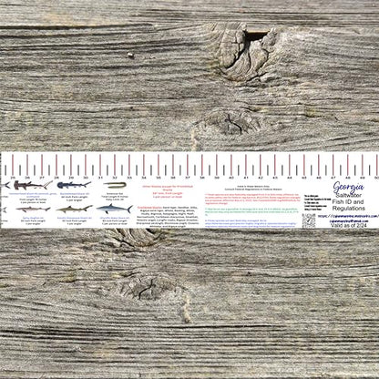 STATE COASTAL FISH RULER with FISH ID and FISHING REGULATIONS - 50 INCH RULER DECALS - style: Georgia