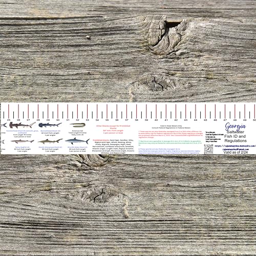 STATE COASTAL FISH RULER with FISH ID and FISHING REGULATIONS - 50 INCH RULER DECALS - style: Georgia
