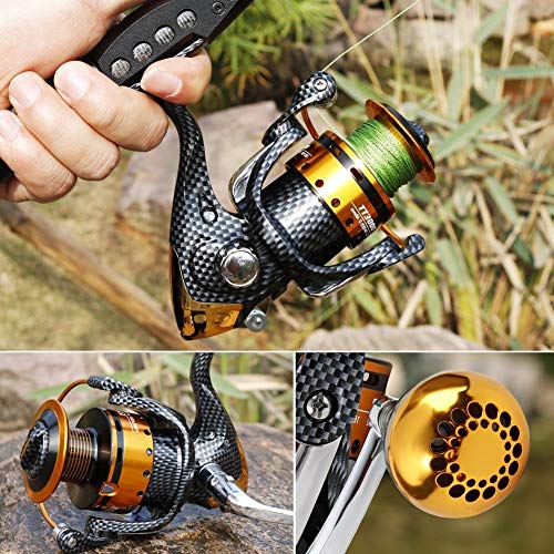 Burning Shark Fishing Reels- 12+1 BB, Light and Smooth Spinning Reels, Powerful Carbon Fiber Drag, Saltwater and Freshwater Fishing - size: TT1000