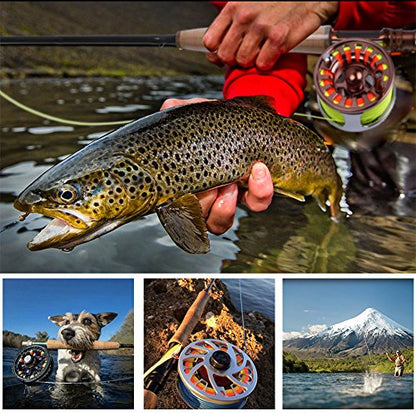 Goture Fly Line Fishing Line Weight Forward Floating Fly Line Double Micro Welded Loops Freshwater Saltwater Beginner Expert General WF2 3 4 5 6 7 8 9 10WT Olive Orange Yellow Moss Green(Olive, WF1F) - color: C: Fly Line Backing-White