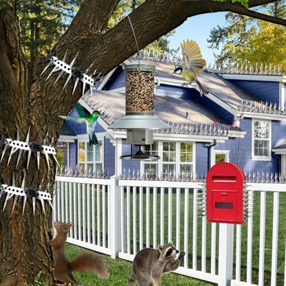 Bird Spikes 32 FT Anti Climb Spikes Stainless Steel Bird Squirrel Deterrent | Acts as squirrel baffles for bird feeders, stops squirrels stealing bird food - size: 32 FT